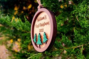 First Christmas Ornament, Cabin Ornament, Personalized Christmas Ornament, 3D Ornament, Rustic Ornament, Custom Christmas Ornament