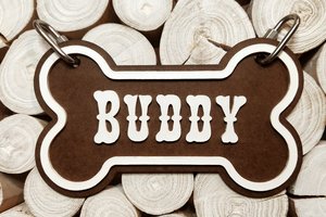 Custom Dog Cage Sign, Dog Crate Name Sign, Dog Cage, Crate Tag, Doggy Diner, Dog Name Plate, Dog Bone Sign, Dog